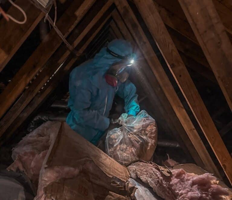 Installer bagging old fiberglass insulation during an attic insulation removal